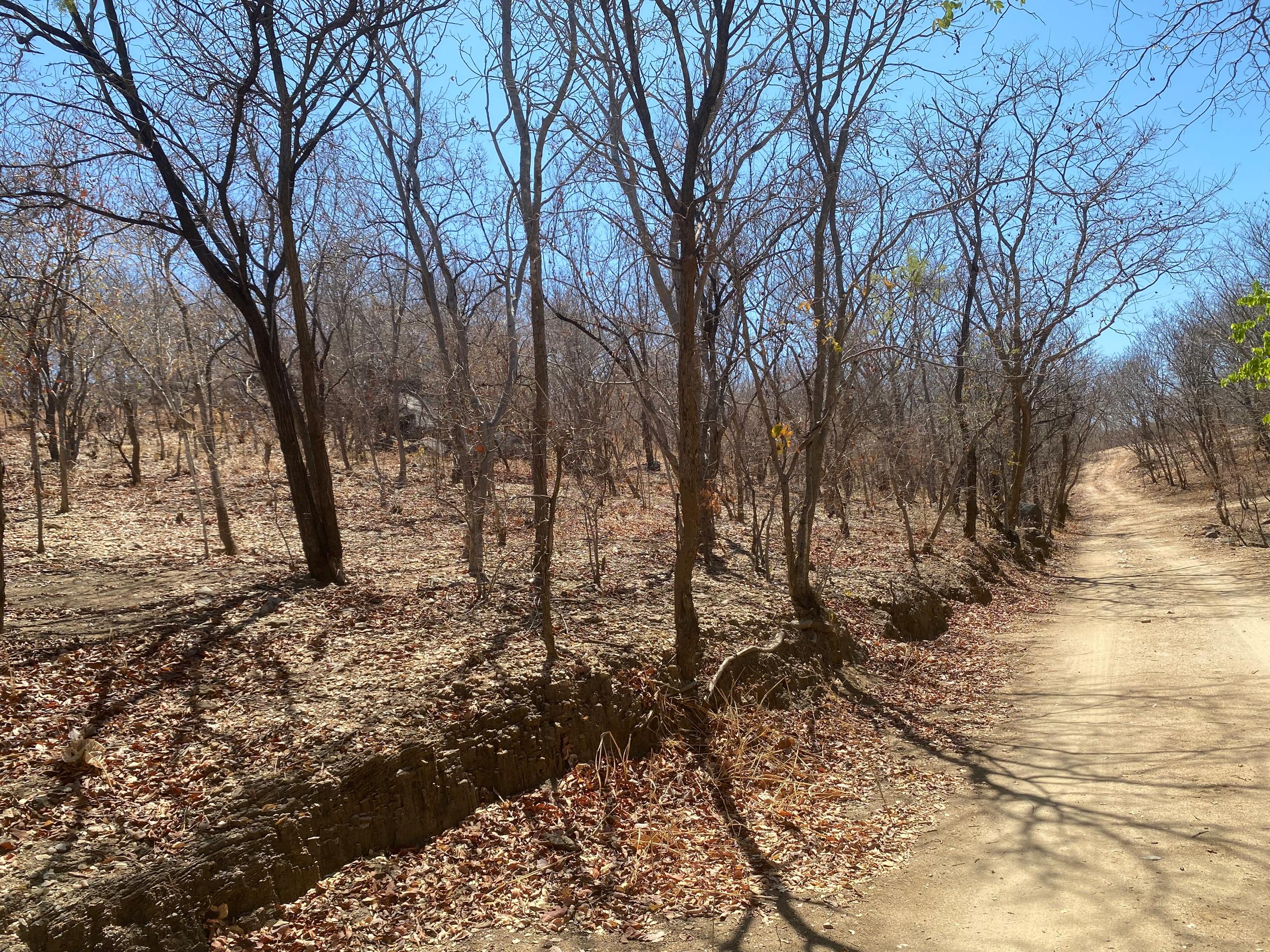 property_gallery_img_5080